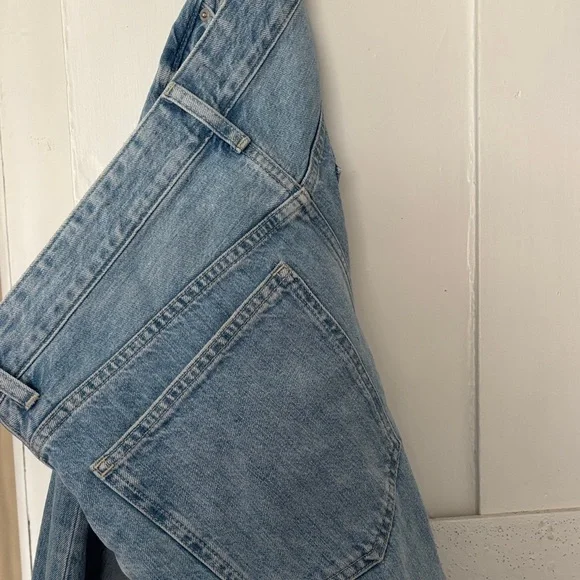 Madewell The Darted Barrel Leg Jean - Picture 3 of 3
